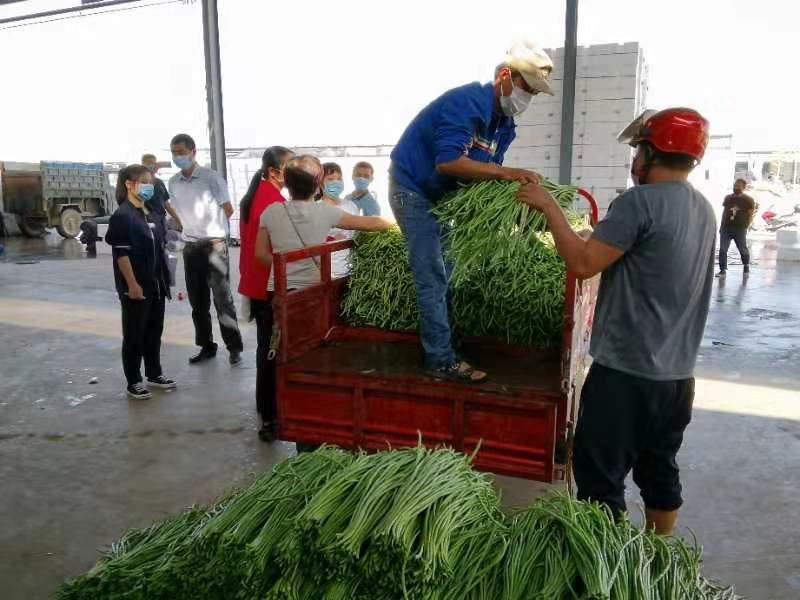 尊龙凯时·(中国)官方网站